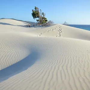 Ajo' A Mulinu Teulada